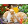 Puzzle Porcusor De Guinea Si Iepuras, 2X12 Piese Ravensburger - 3